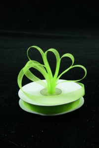 Organza Ribbon , Apple Green, 3/8 Inch x 25 Yards (1 Spool) SALE ITEM